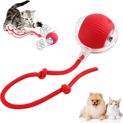 PETPLAY™ Smart Pet Toy Ball