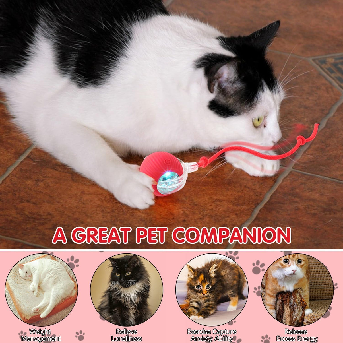 PETPLAY™ Smart Pet Toy Ball