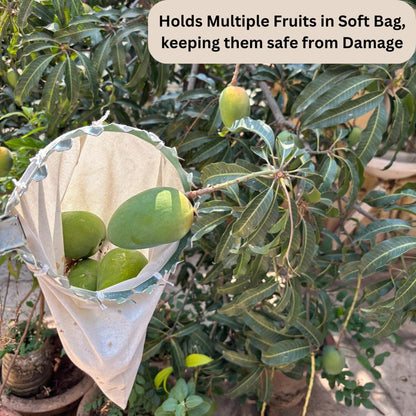 PickPro™ Fruit Picker Basket Tool