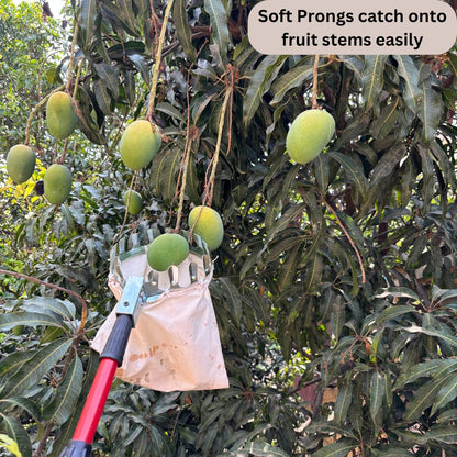 PickPro™ Fruit Picker Basket Tool